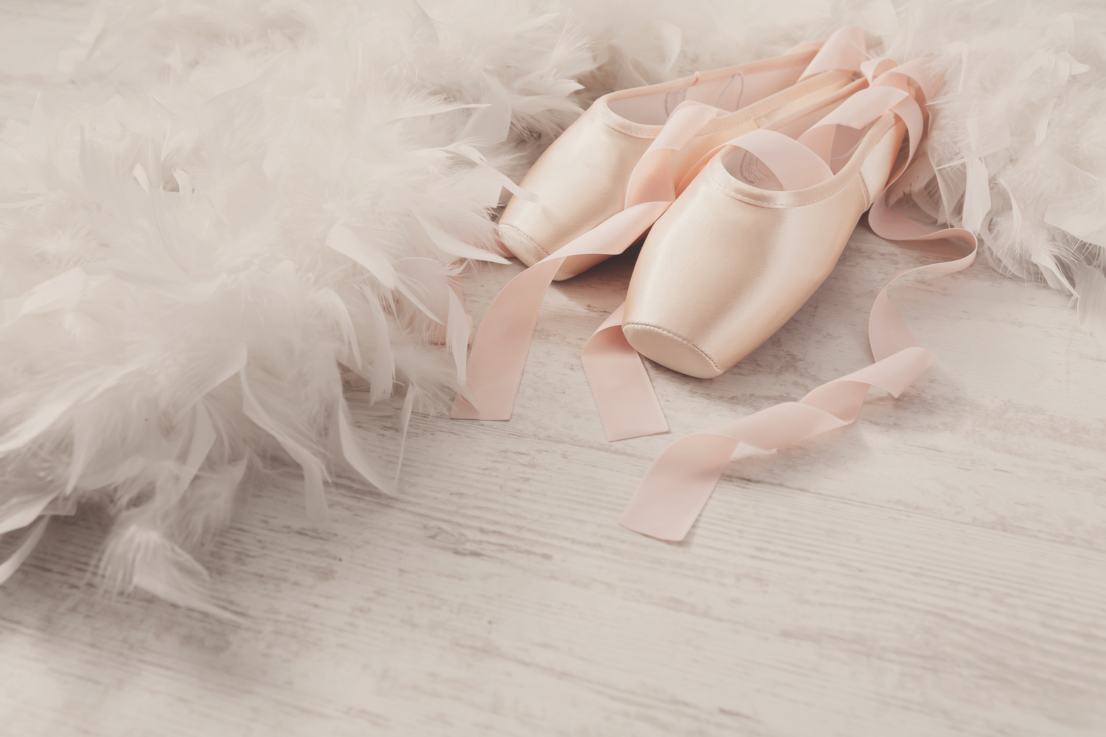 Pink ballet pointe shoes and feather on white wood background